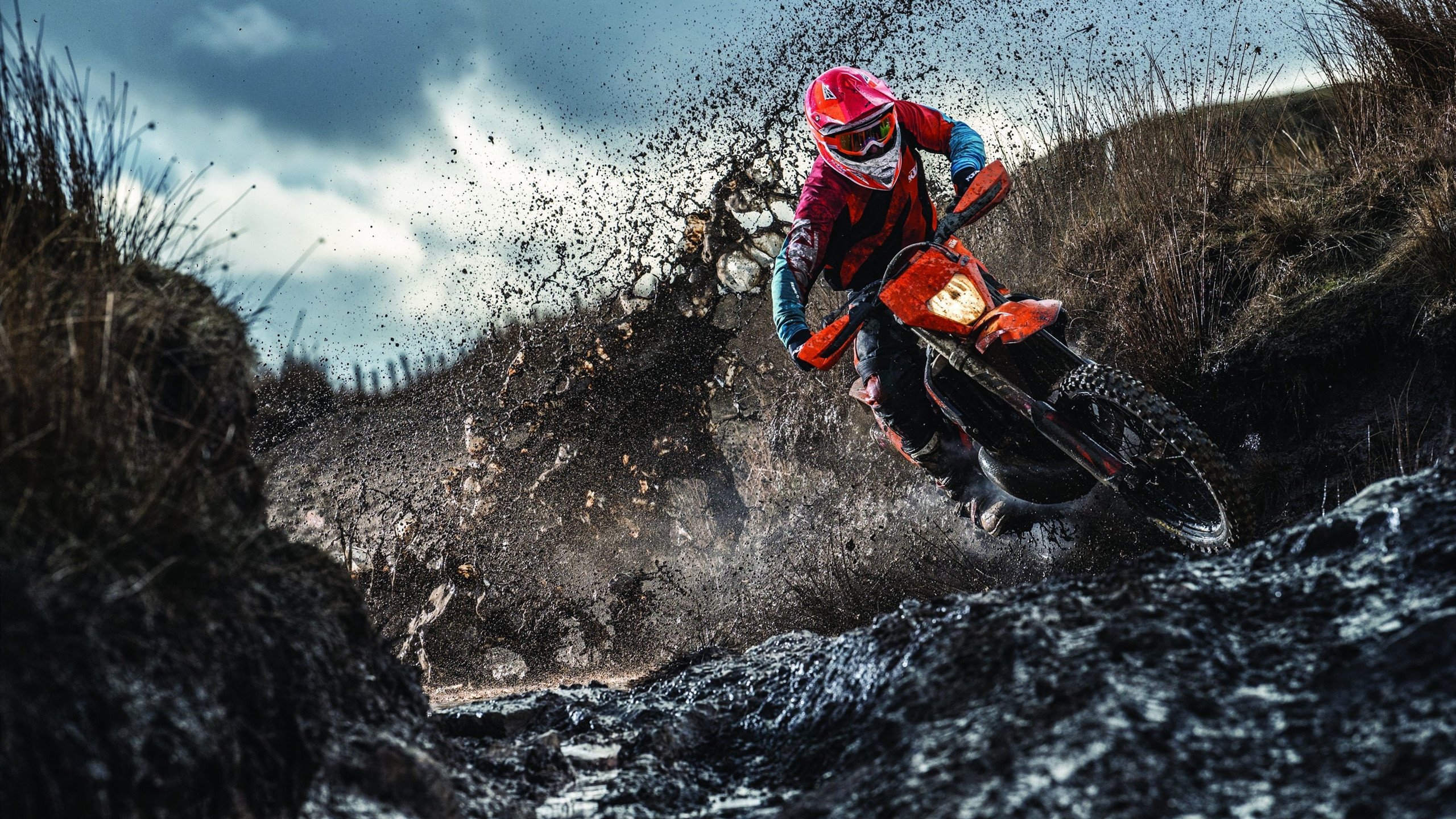 _运动员的家庭生活：鼎力支持的背后故事_，运动员家庭条件